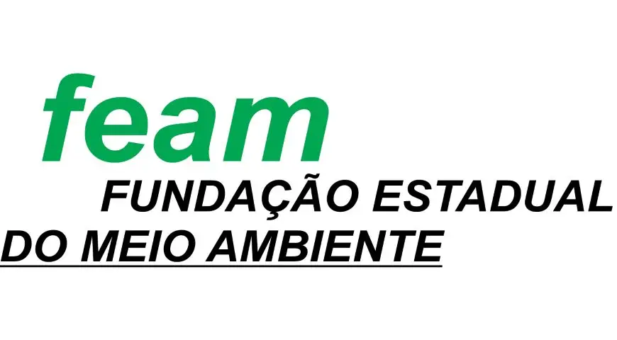 Feam Logo